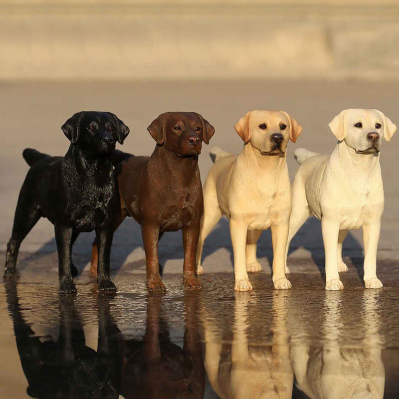 MRZ025 Sixth Scale Labrador dog decor from JXK Studio