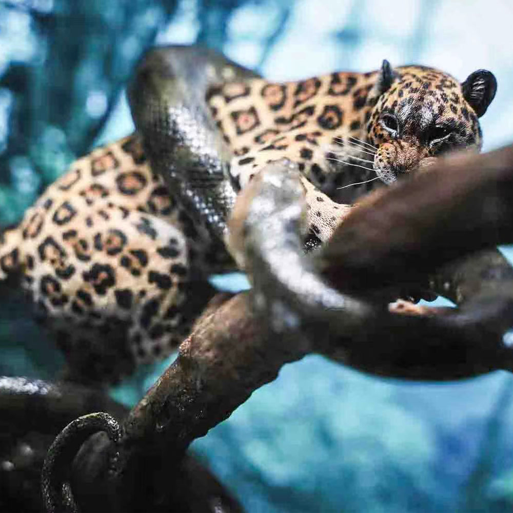 PK2101 Leopard and Python statue for home decor from JXK Studio