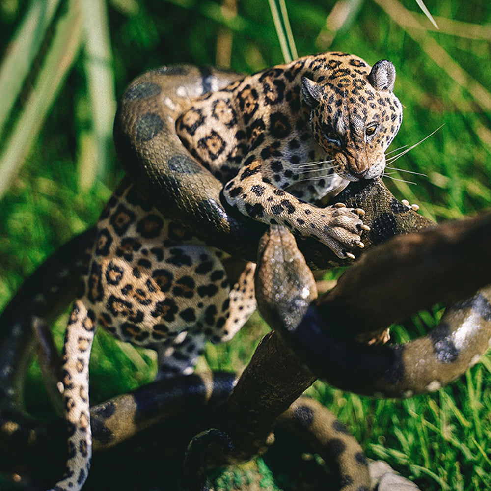 PK2101 Leopard and Python statue for home decor from JXK Studio