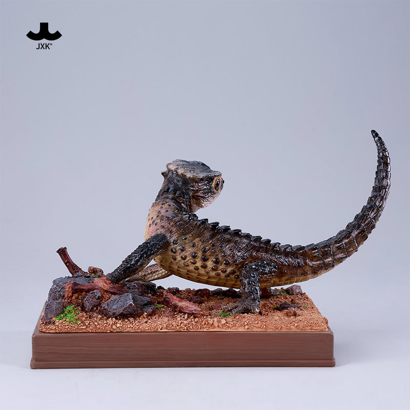 JXK305 Per-sale Tribolonotus gracilis from JXK Studio
