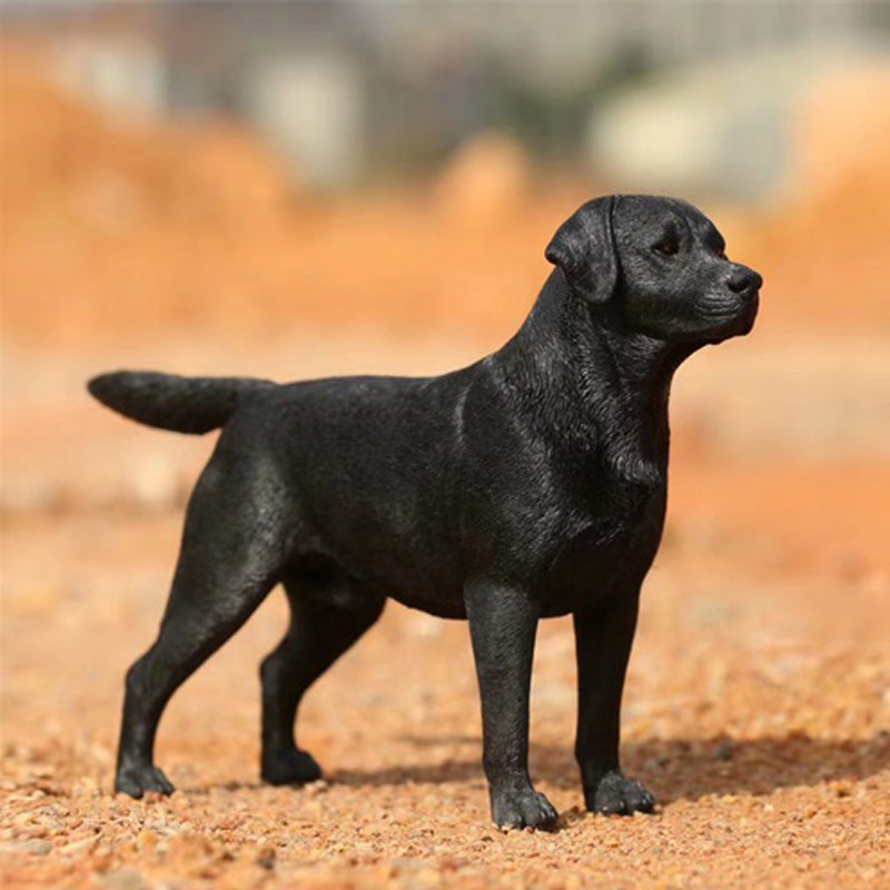 MRZ025 Sixth Scale Labrador dog decor from JXK Studio