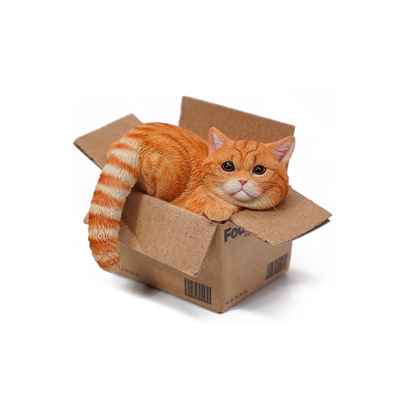 JS2305 Cat Figurine Cat in Box Decor from JXK Studio