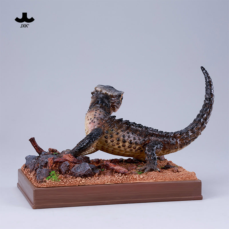 JXK305 Per-sale Tribolonotus gracilis from JXK Studio