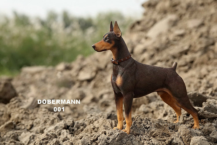 MRZ DB Dobermann dog statue for dog lovers from JXK Studio