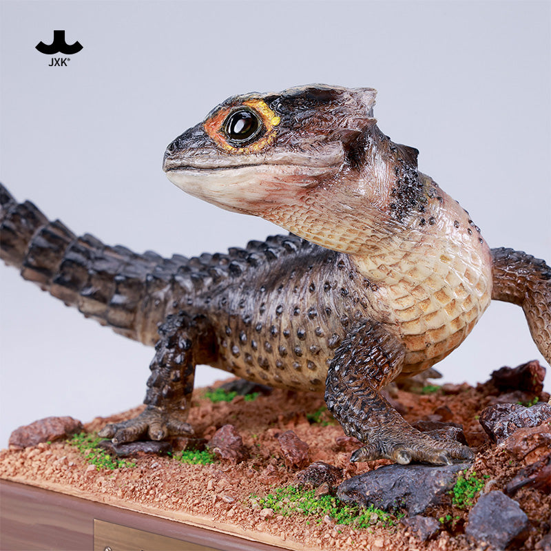 JXK305 Per-sale Tribolonotus gracilis from JXK Studio