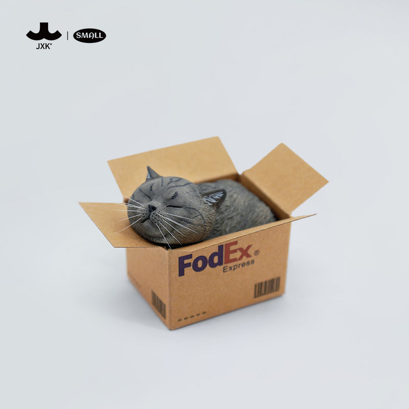 JS2213 Cat Figurine Cat in Box Decor from JXK Studio