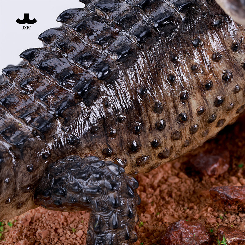 JXK305 Per-sale Tribolonotus gracilis from JXK Studio