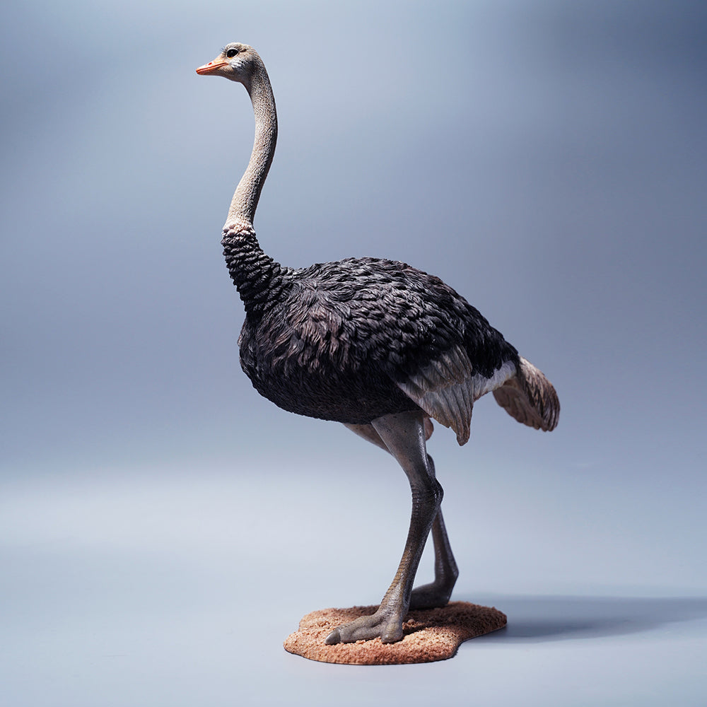 JXK097 15" Ostrich Statue, Realistic Animal Statue Gifts for Friends from JXK Studio