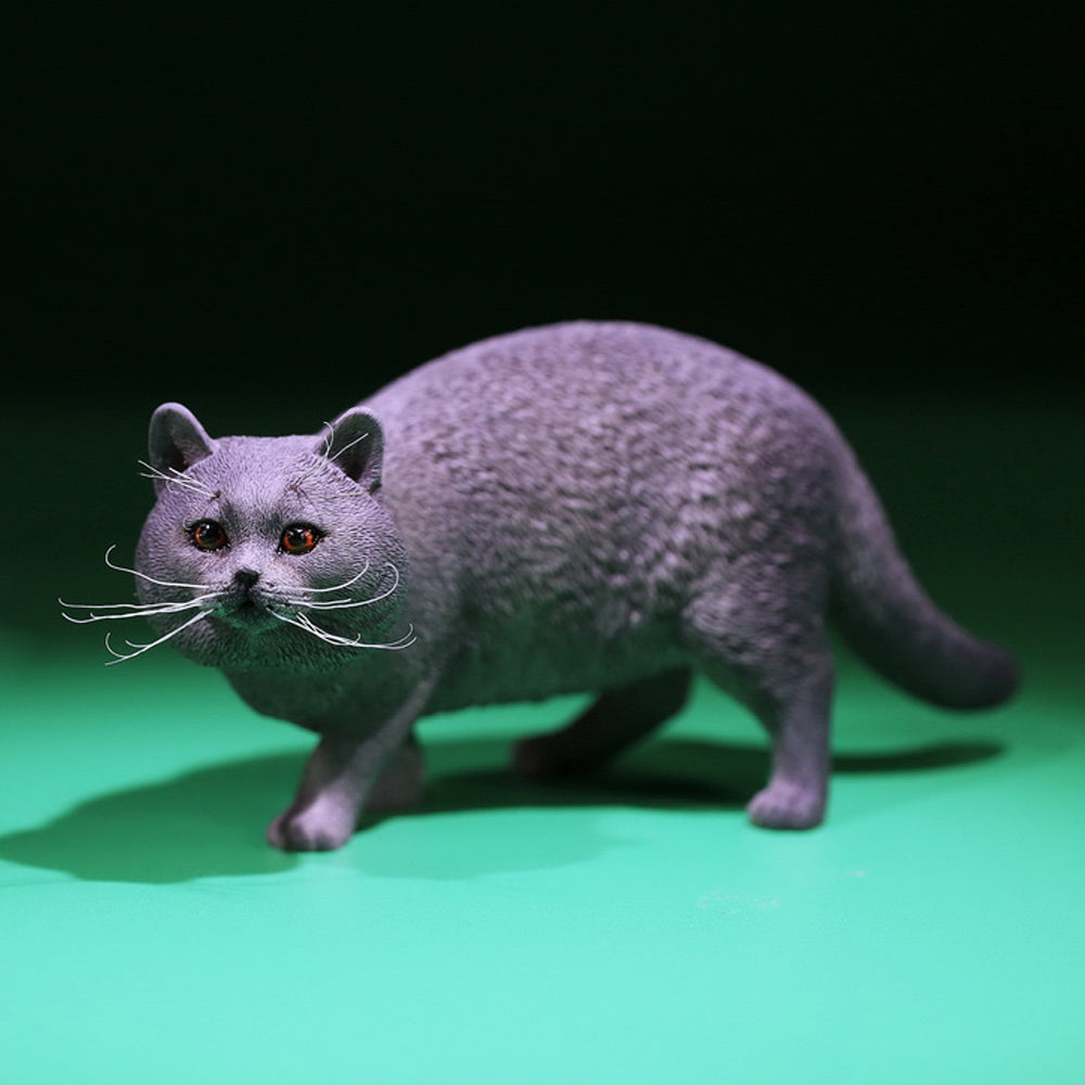 MRZ040 British Shorthair Cat statue from JXK Studio