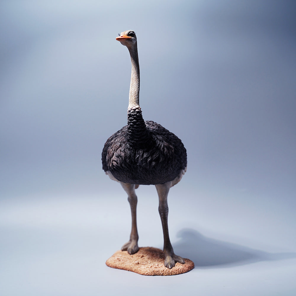 JXK097 15" Ostrich Statue, Realistic Animal Statue Gifts for Friends from JXK Studio