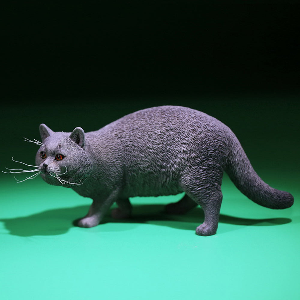 MRZ040 British Shorthair Cat statue from JXK Studio