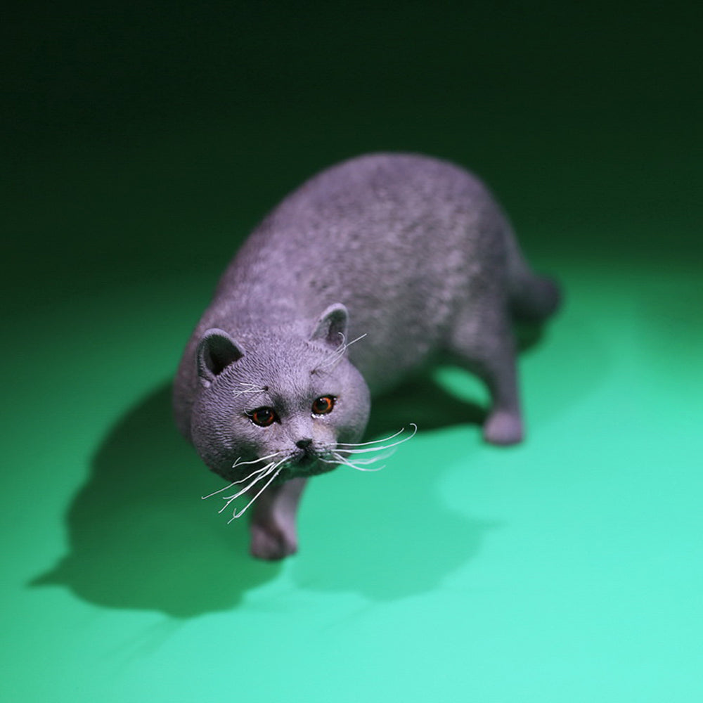 MRZ040 British Shorthair Cat statue from JXK Studio