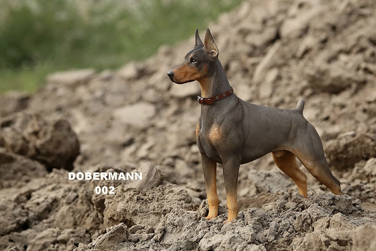 MRZ DB Dobermann dog statue for dog lovers from JXK Studio