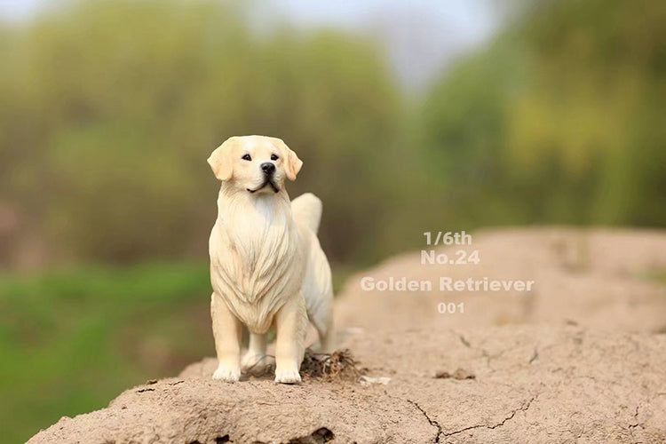 MRZ024 Golden Retriever Hundefigur von JXK Studio