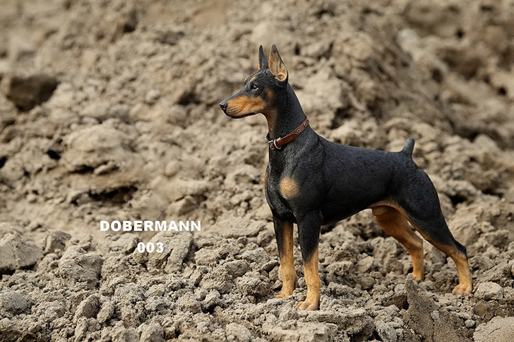MRZ DB Dobermann dog statue for dog lovers from JXK Studio