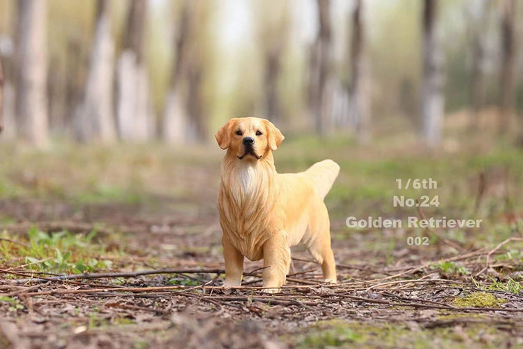 MRZ024 Golden Retriever Hundefigur von JXK Studio