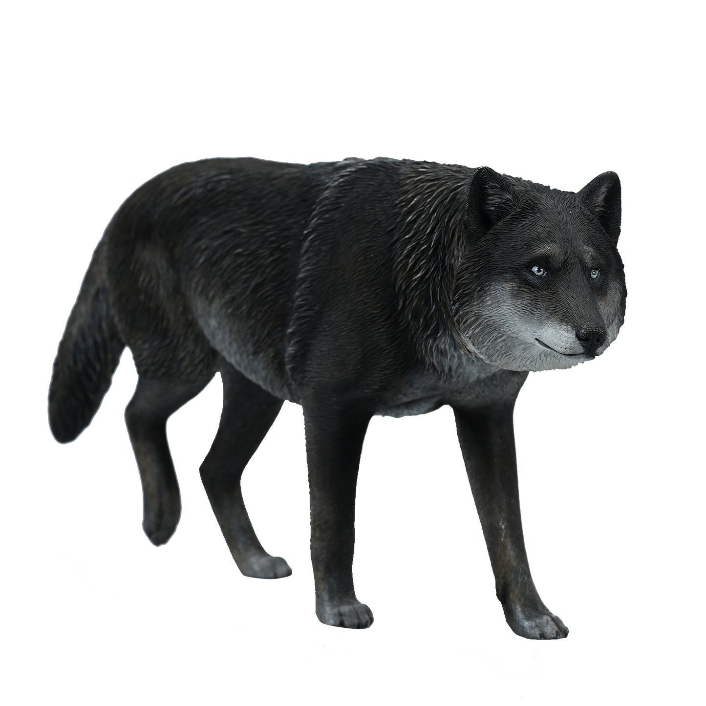 JXK223 1/6Common Gray wolf from JXK Studio