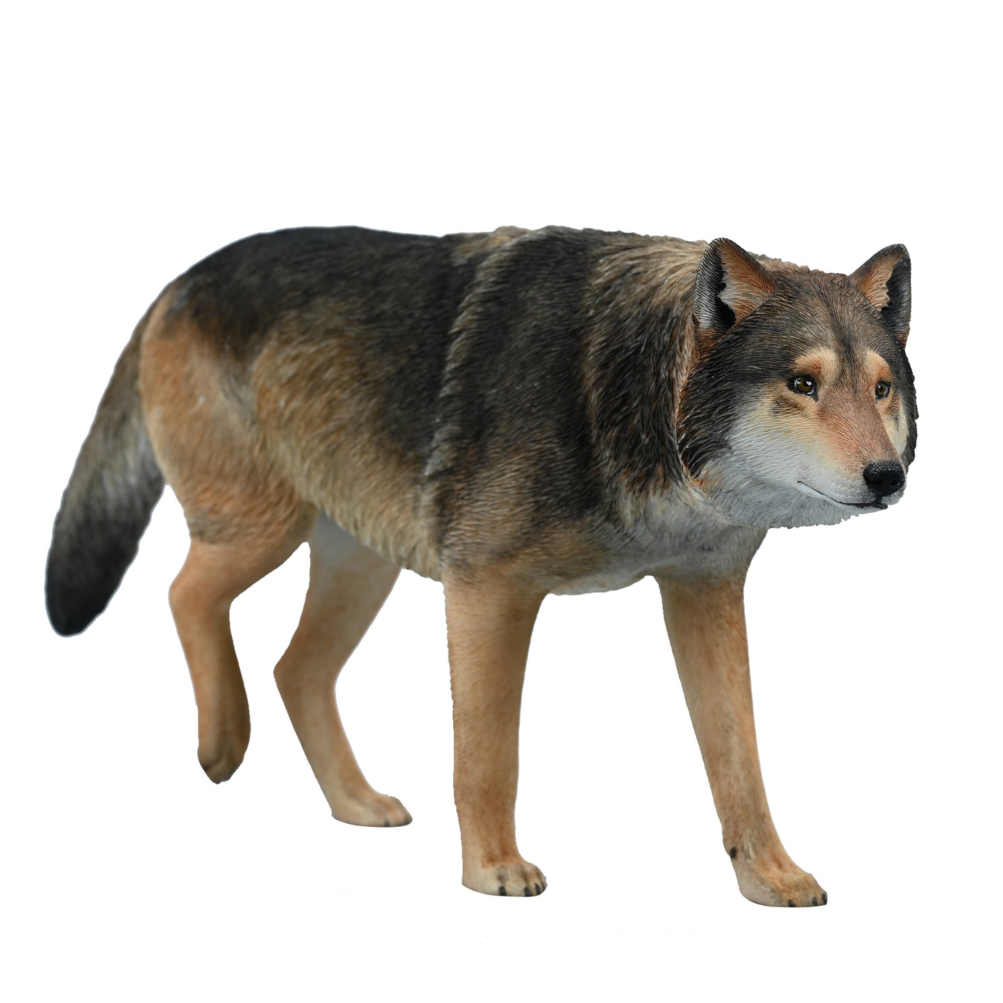 JXK223 1/6Common Gray wolf from JXK Studio