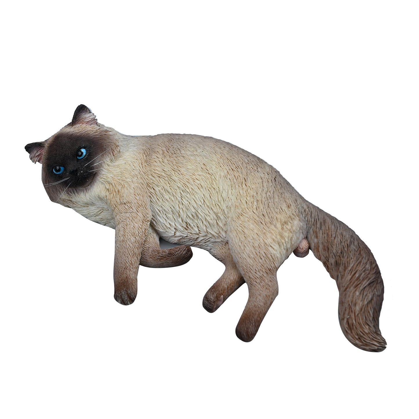 JXK222 1/6 Ragdoll3.0 from JXK Studio