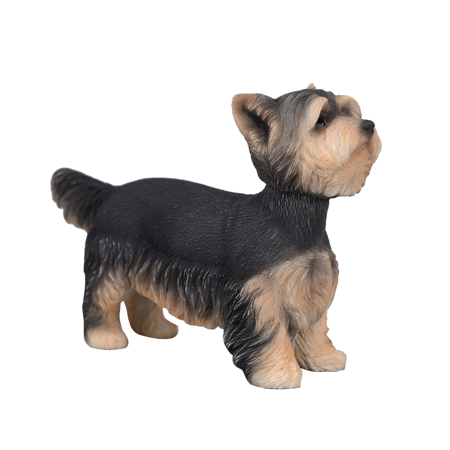JXK229 1/6 Yorkshire Terrier FigurineProduct JXK Studio