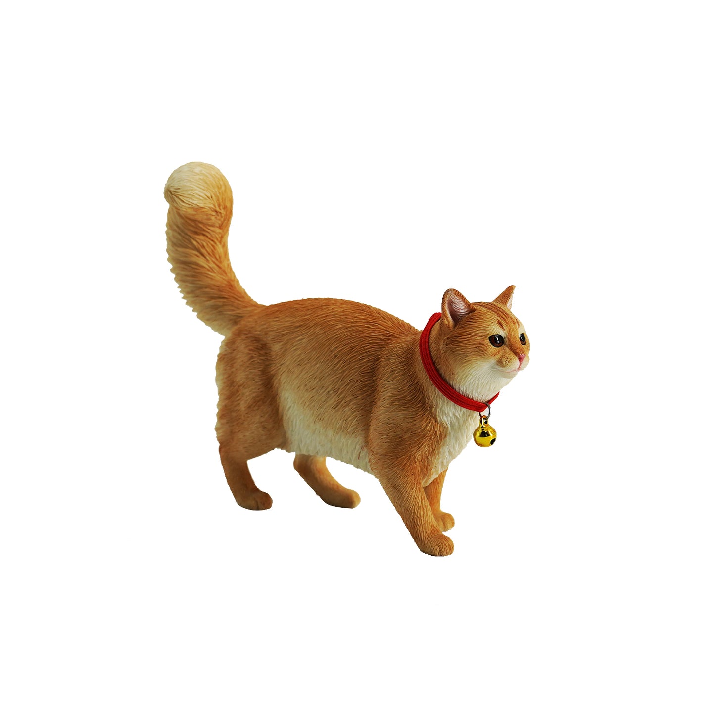 JXK211 1/6 Somalikatze von JXK Studio