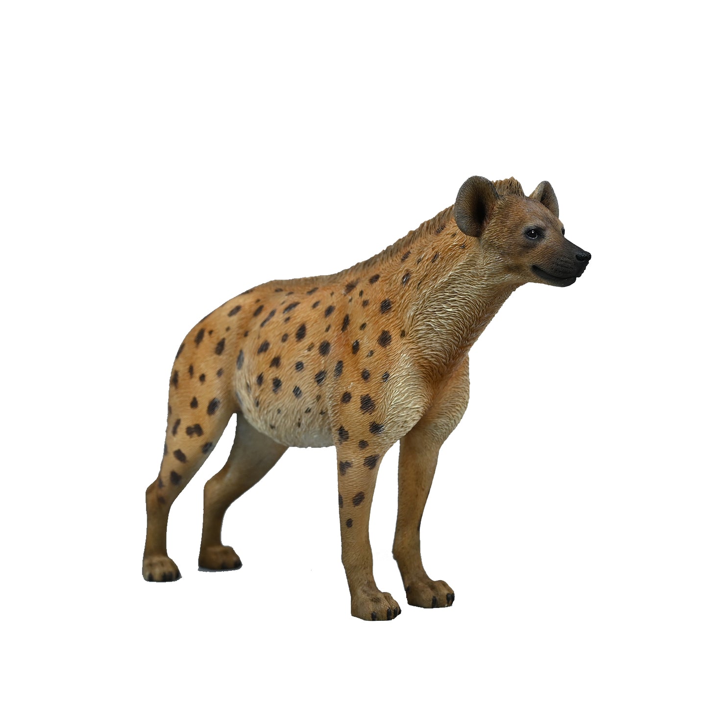 JXK215 1/6Hyena from JXK Studio