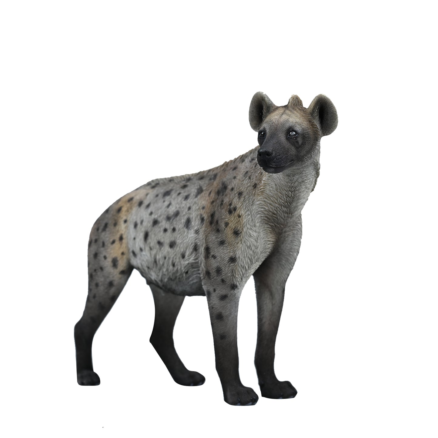 JXK215 1/6Hyena from JXK Studio