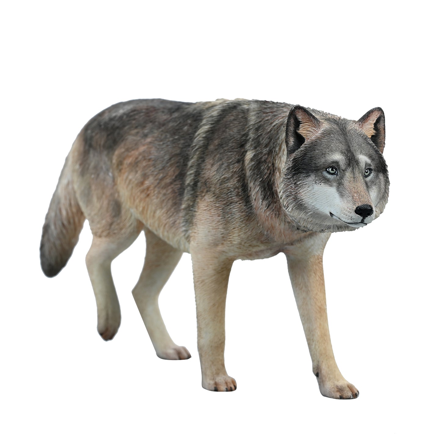 JXK223 1/6Common Gray wolf from JXK Studio