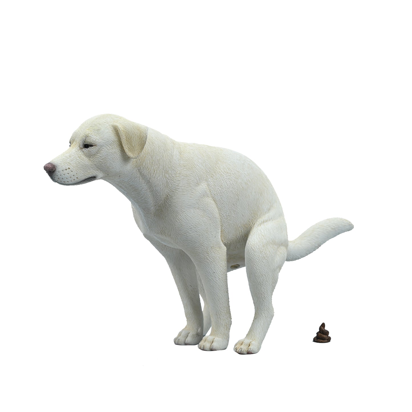JXK213 1/6Labrador from JXK Studio