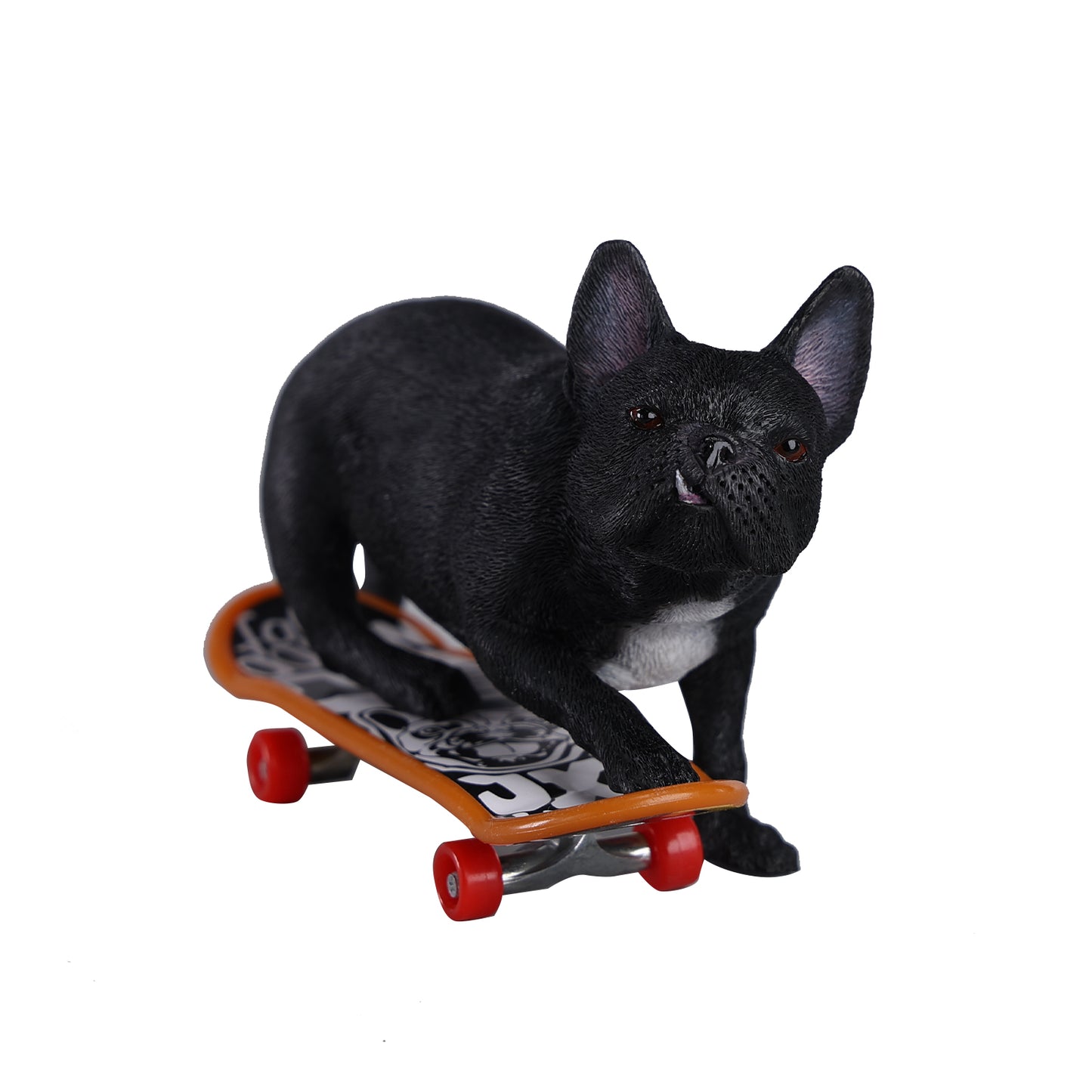 JXK243 1/6 Scale Skateboarding French Bull- dog from JXK Studio