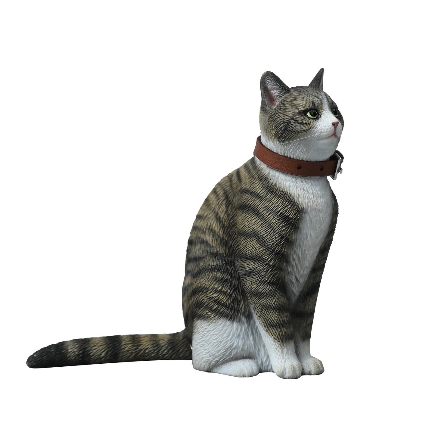 JXK218 1/6Felis Catus5.0 from JXK Studio
