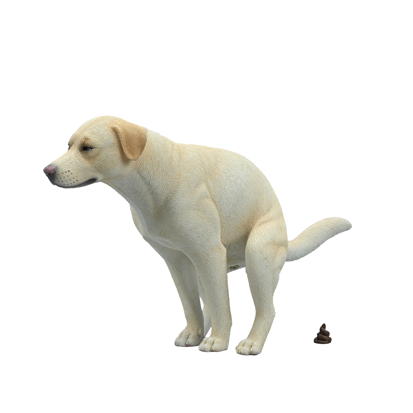 JXK213 1/6Labrador von JXK Studio