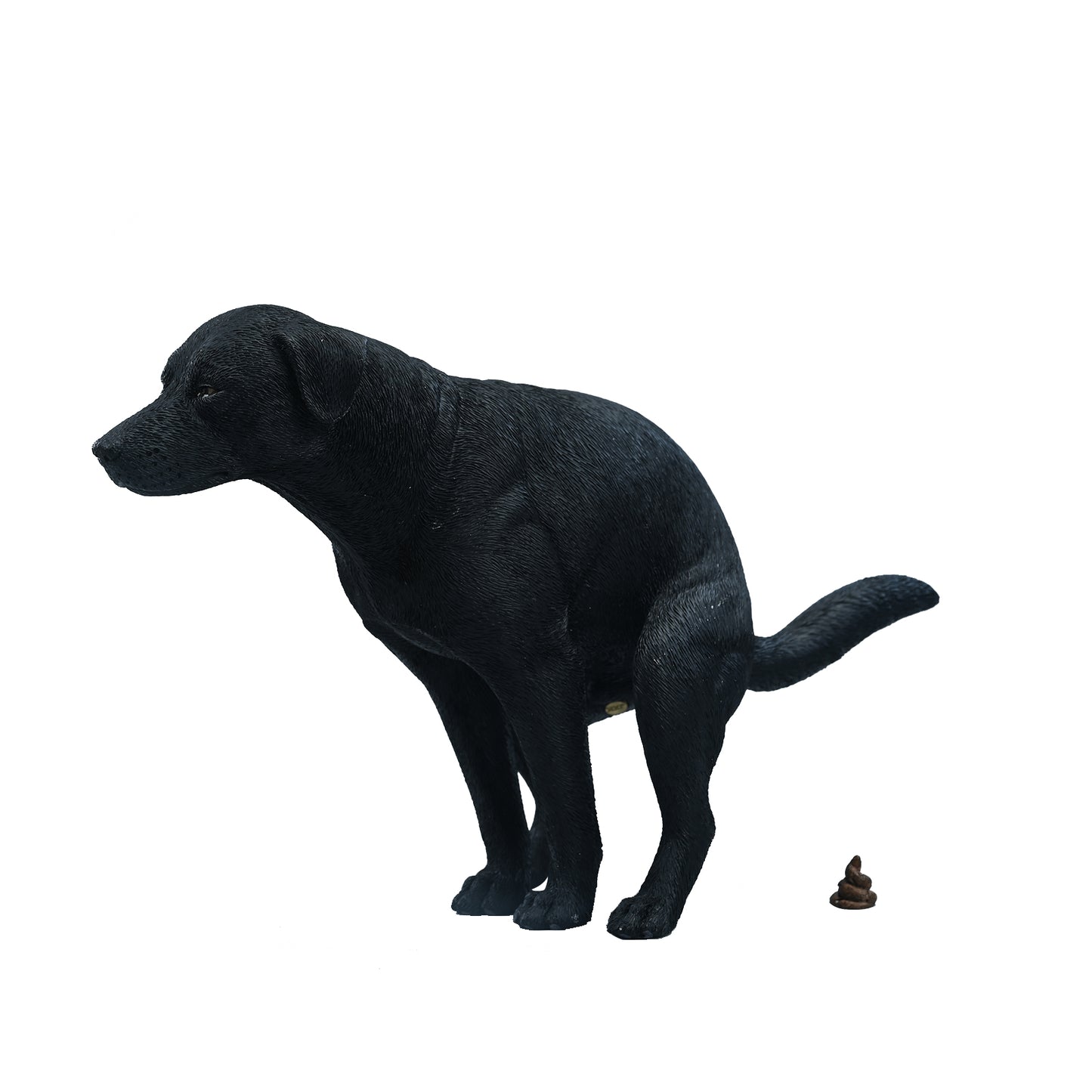 JXK213 1/6Labrador from JXK Studio