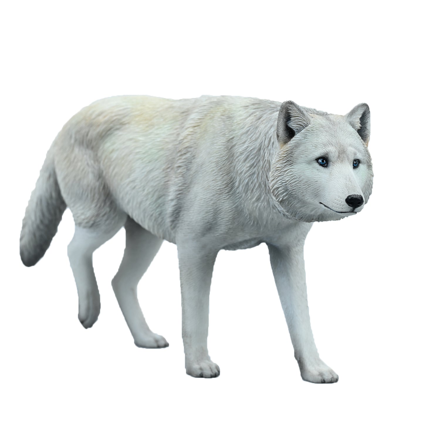 JXK223 1/6Common Gray wolf from JXK Studio
