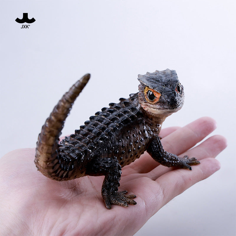JXK305 Per-sale Tribolonotus gracilis from JXK Studio