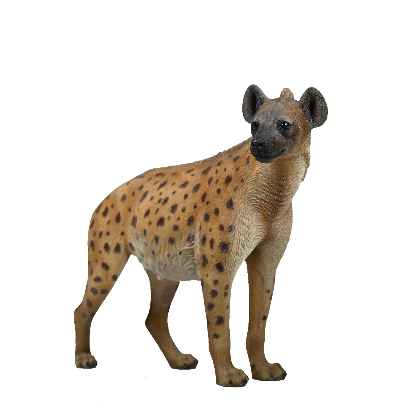JXK215 1/6Hyena from JXK Studio