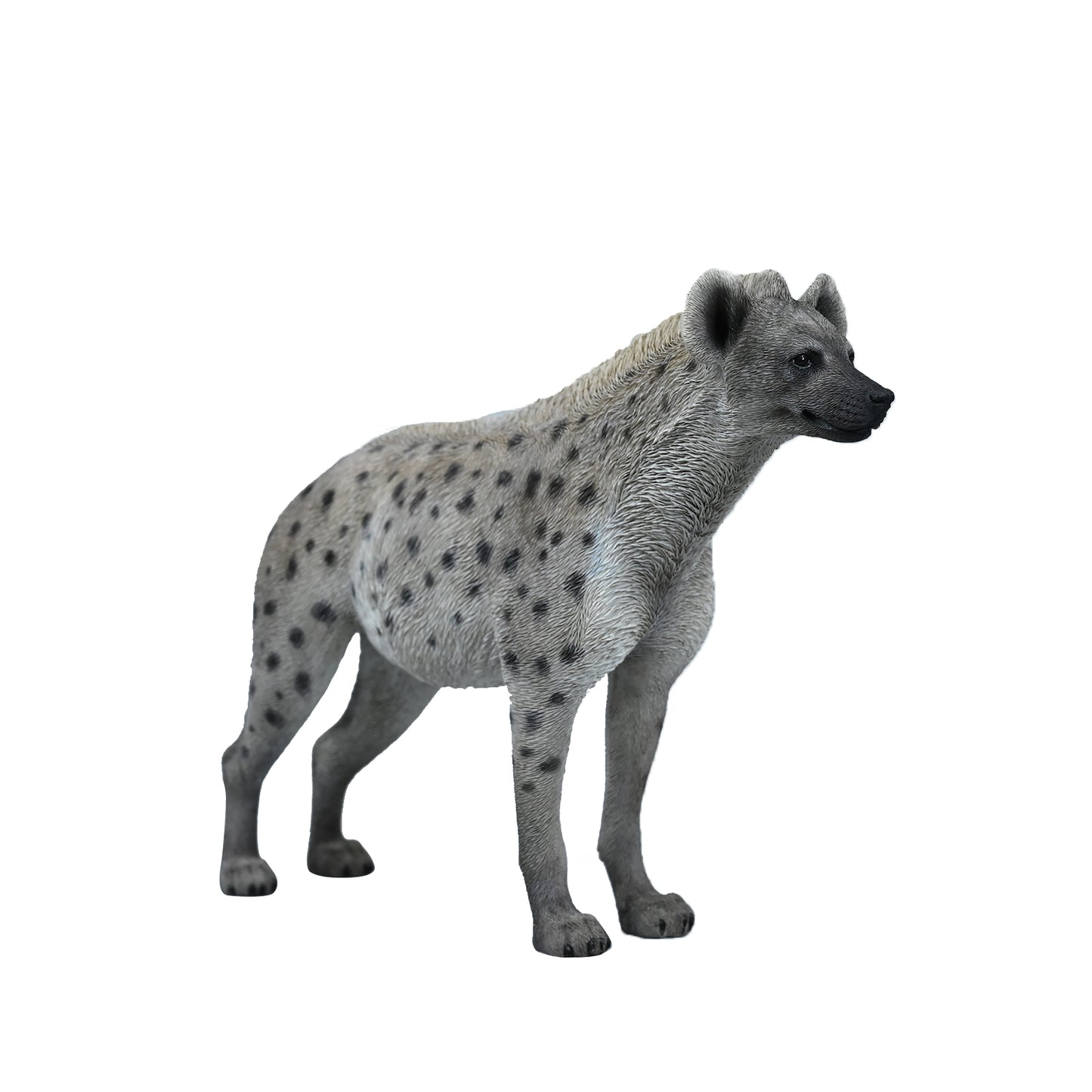JXK215 1/6Hyena from JXK Studio