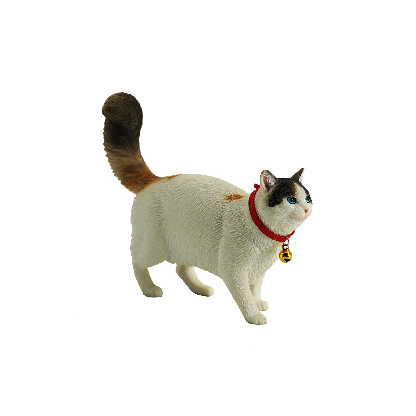 JXK211 1/6 Somalikatze von JXK Studio