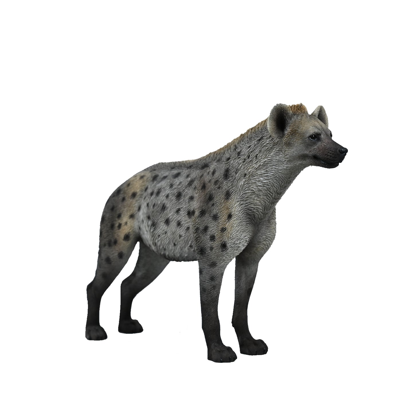 JXK215 1/6Hyena from JXK Studio