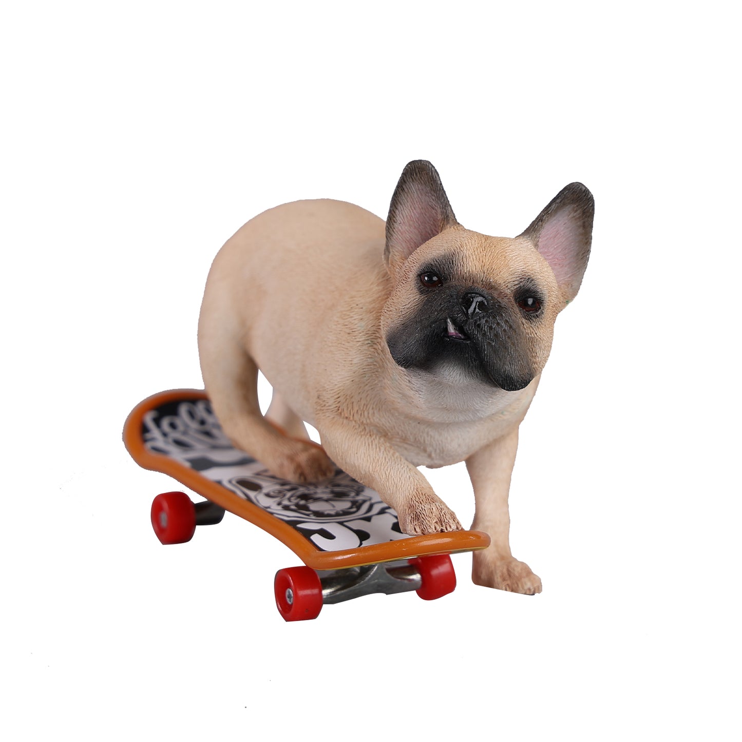 JXK243 1/6 Scale Skateboarding French Bull- dog from JXK Studio