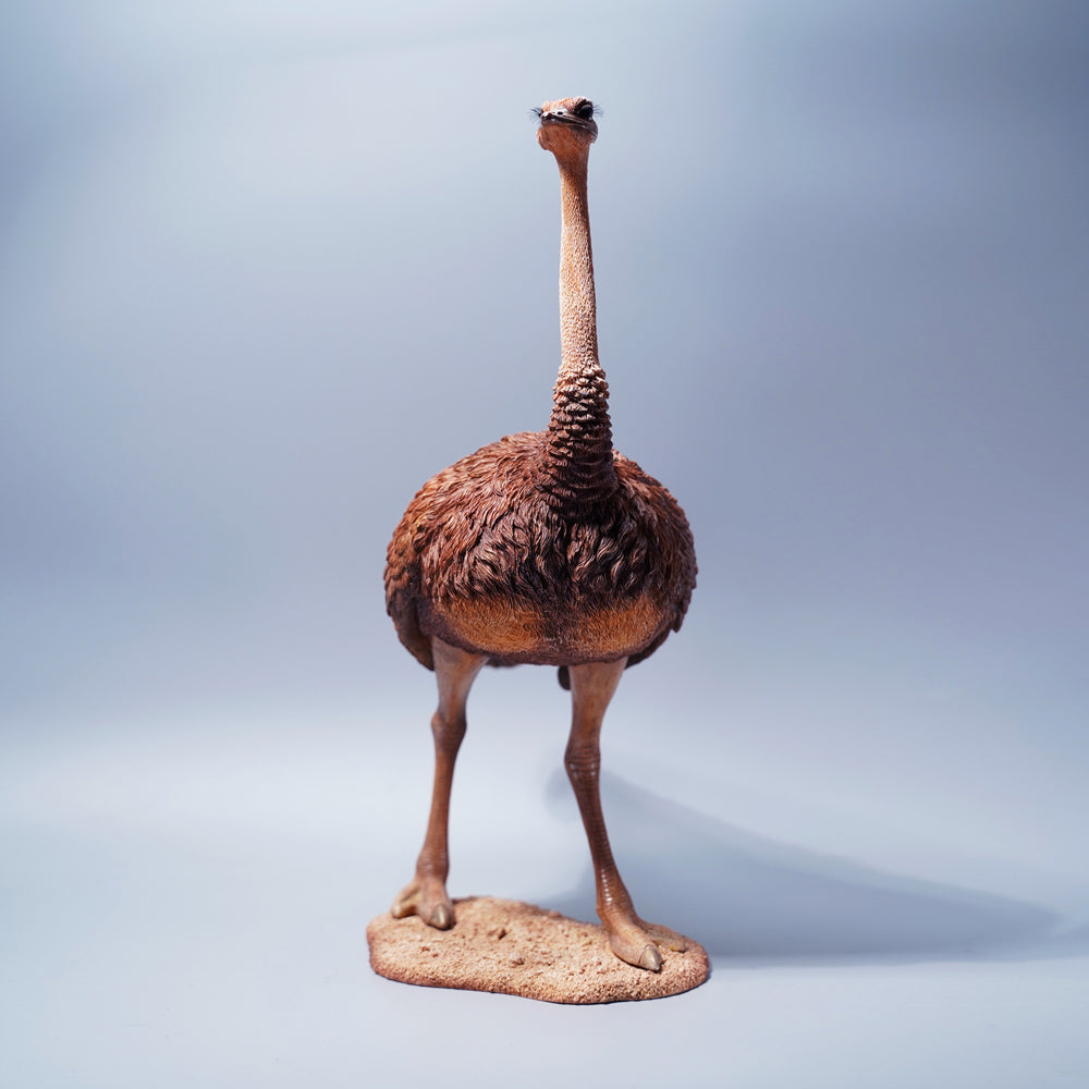 JXK097 15" Ostrich Statue, Realistic Animal Statue Gifts for Friends from JXK Studio