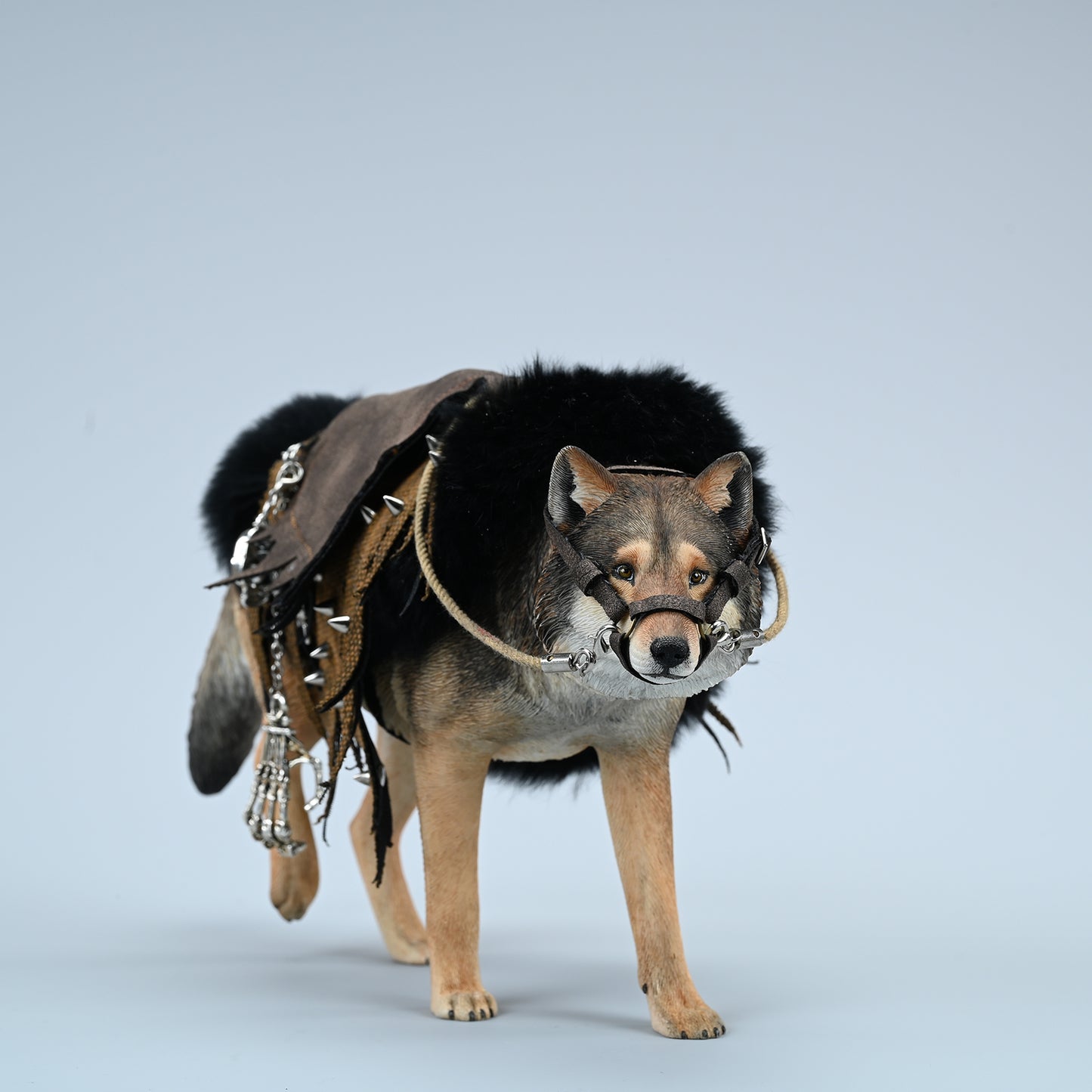 JXK223 1/6Common Gray wolf from JXK Studio