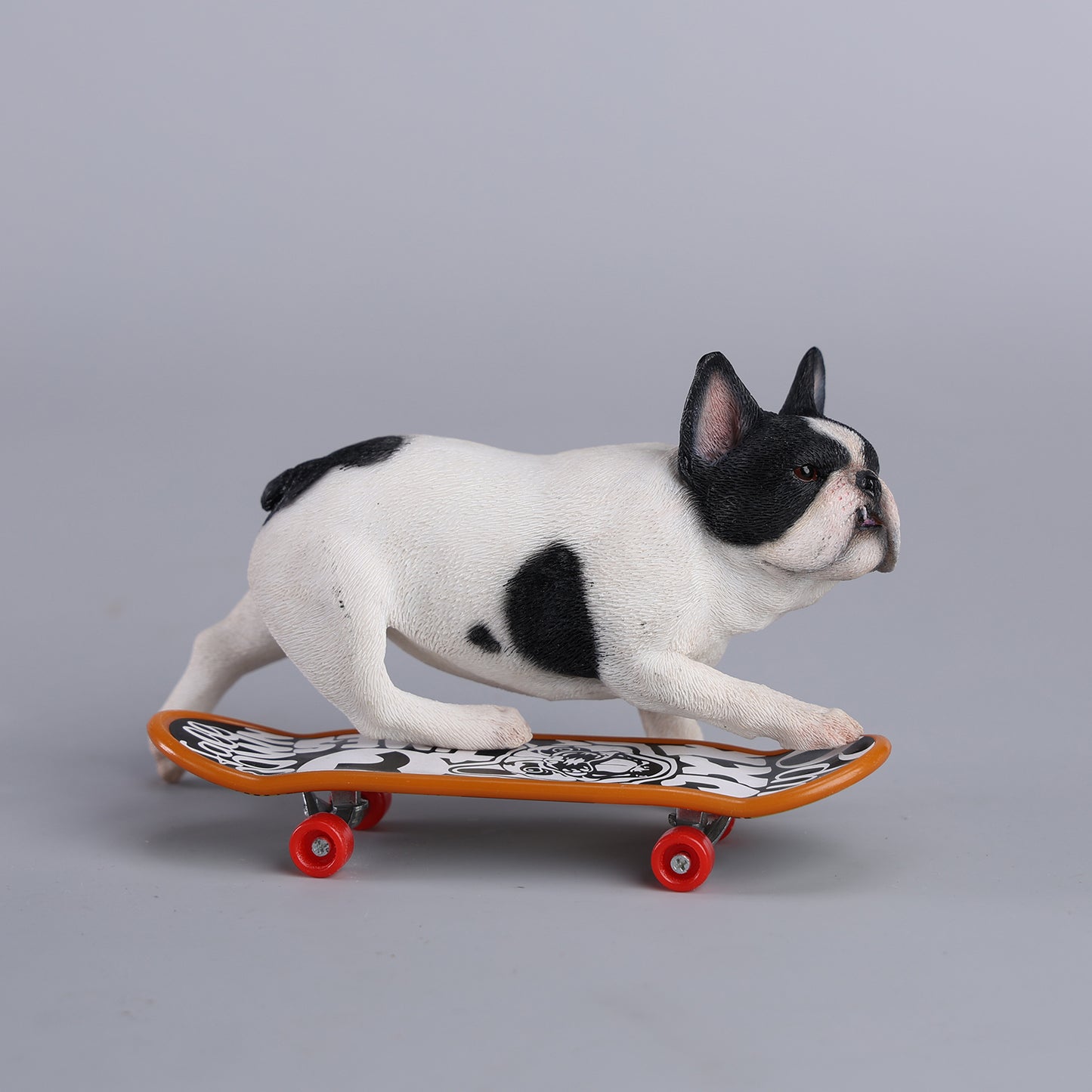 JXK243 1/6 Scale Skateboarding French Bull- dog from JXK Studio