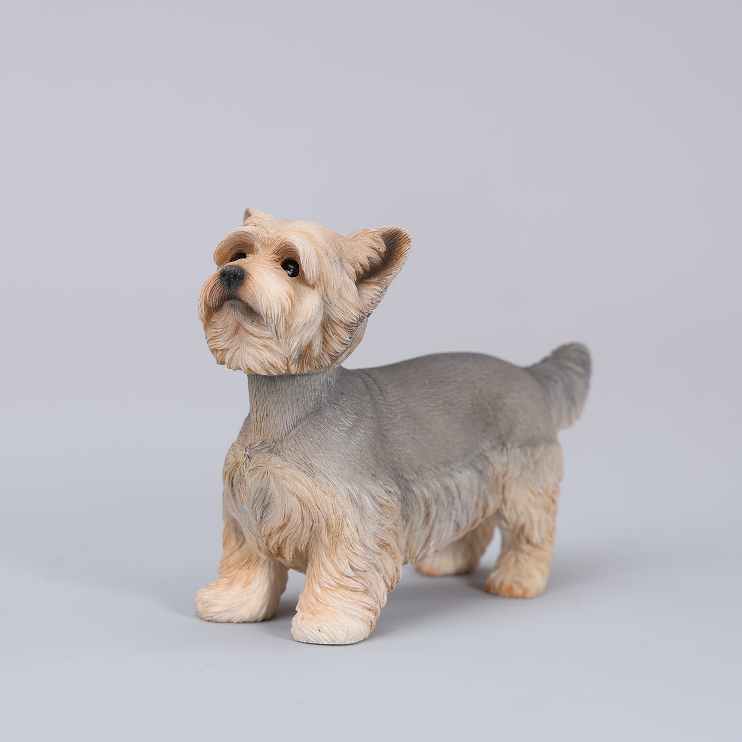 JXK229 1/6 Yorkshire Terrier FigurineProduct JXK Studio