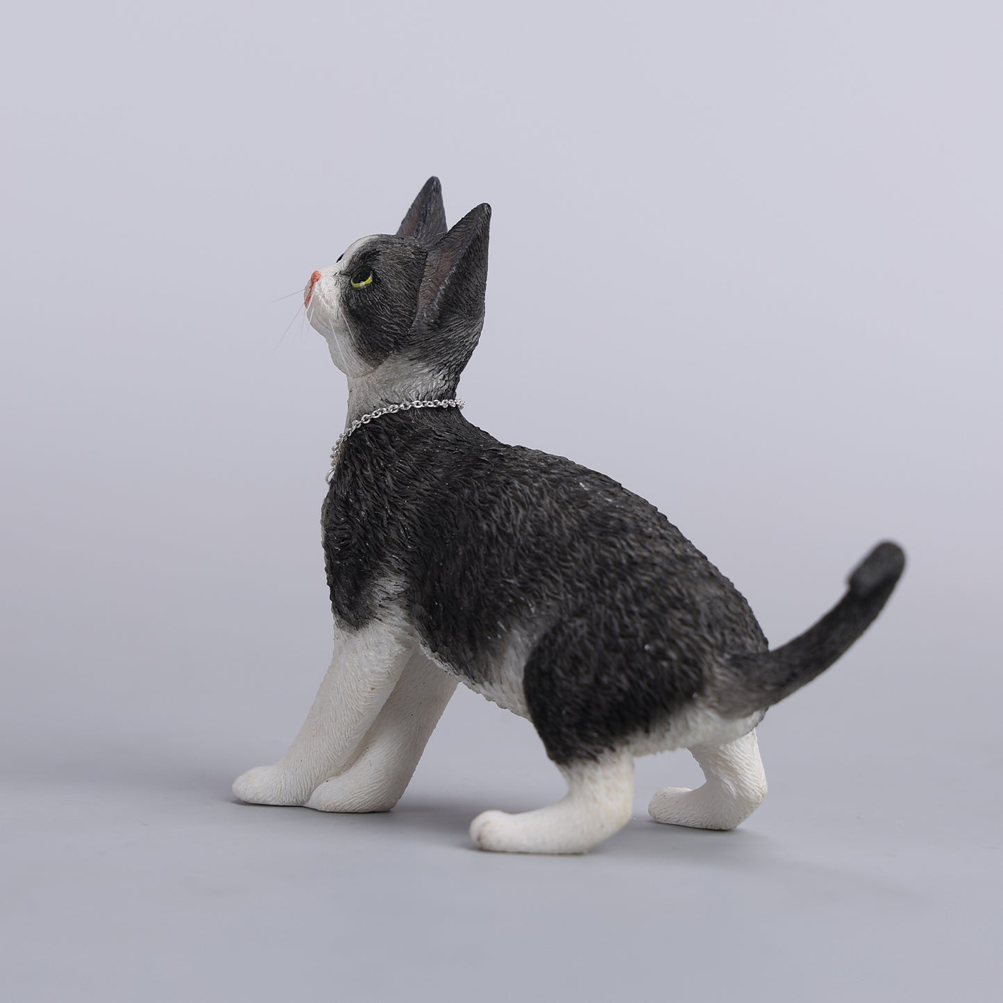 JXK246 1/6 Scale Devon Rex Cat Figurine V4 from JXK Studio