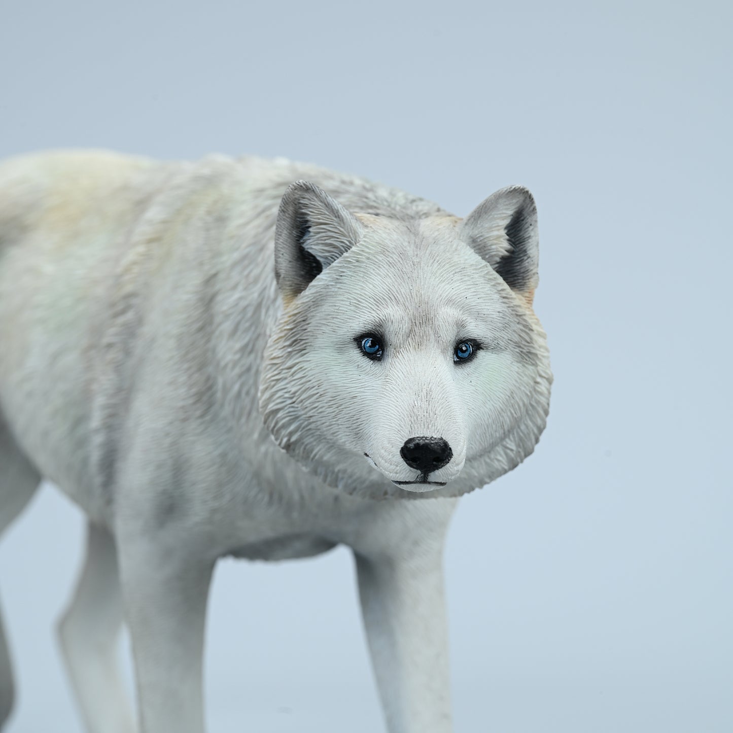 JXK223 1/6Common Gray wolf from JXK Studio