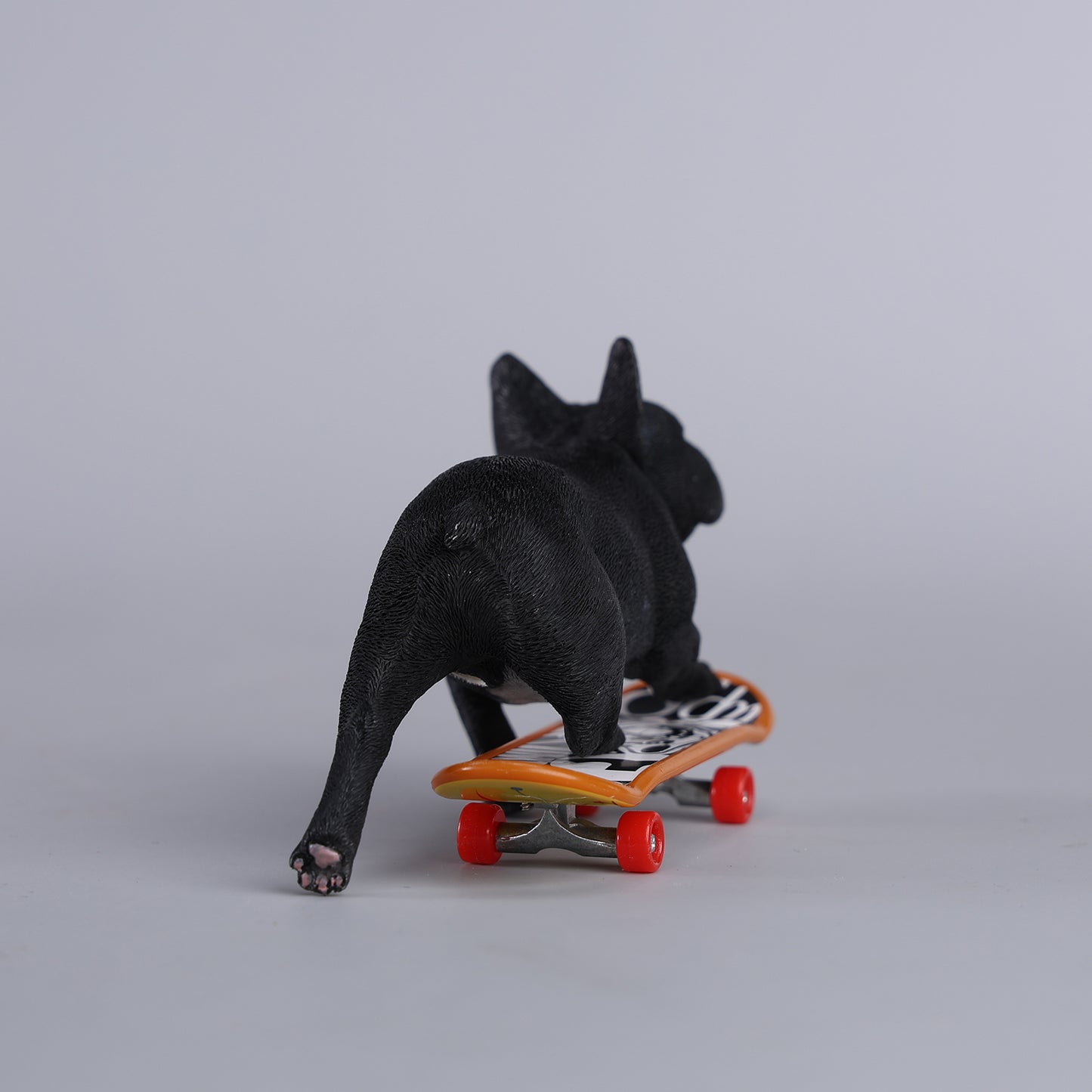 JXK243 1/6 Scale Skateboarding French Bull- dog from JXK Studio