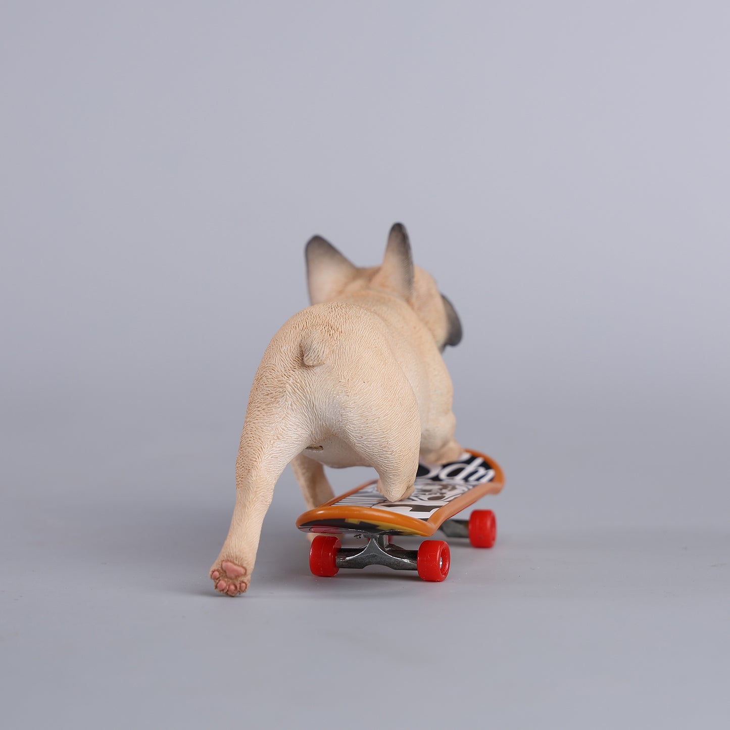 JXK243 1/6 Scale Skateboarding French Bull- dog from JXK Studio