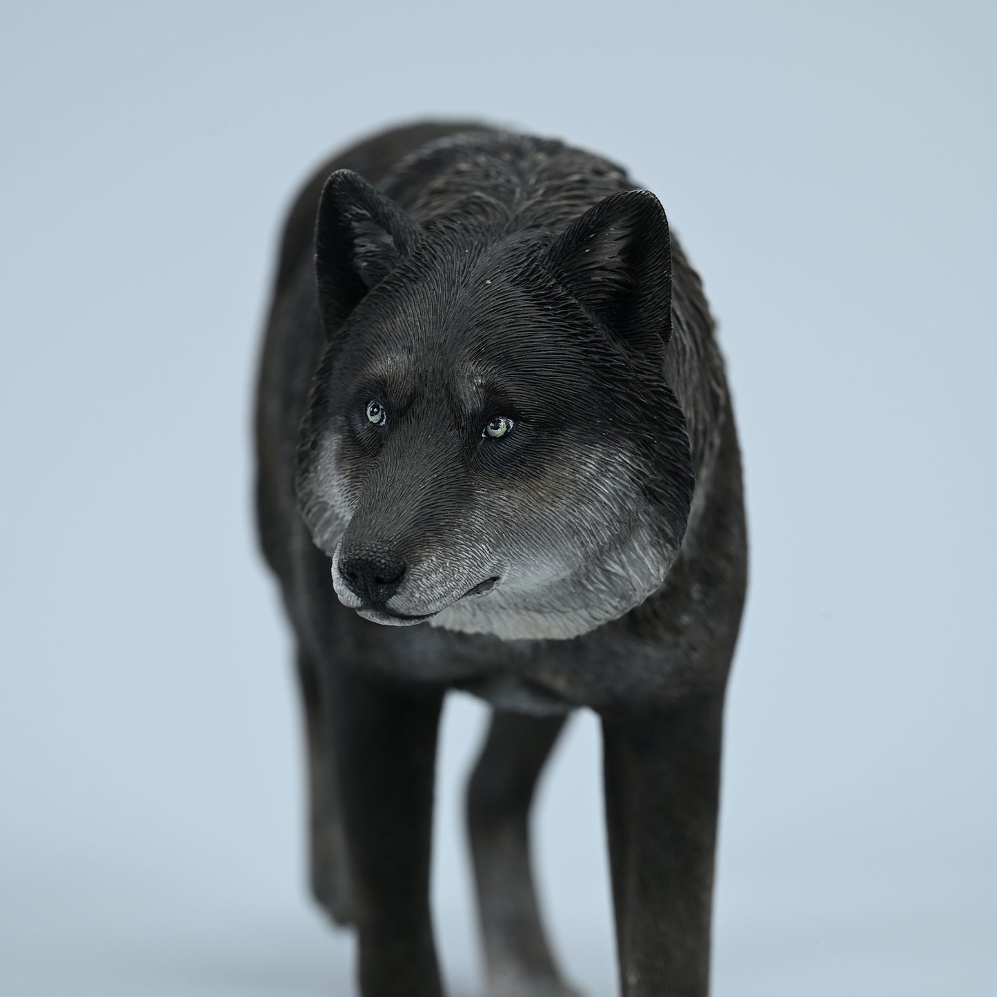JXK223 1/6Common Gray wolf from JXK Studio