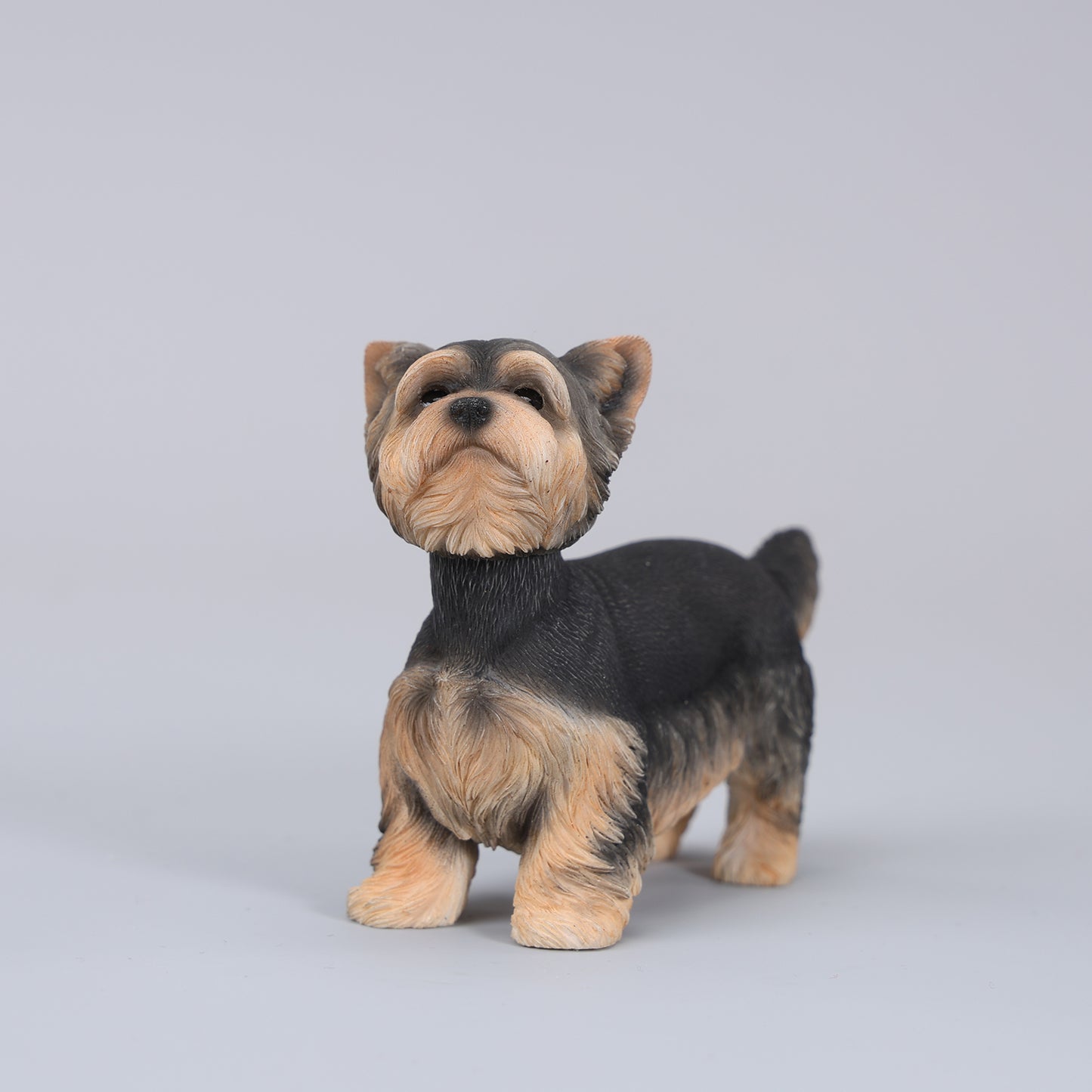 JXK229 1/6 Yorkshire Terrier FigurineProduct JXK Studio
